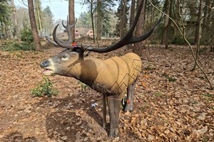 Warnsveld maart 2026